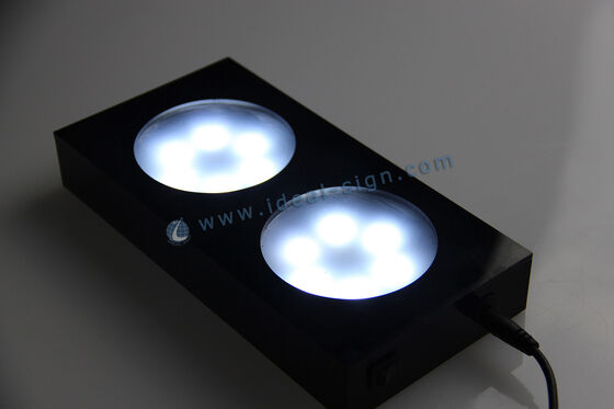 LED Acrylic Liquor Bottle Display Standing / Glorifier PS Injection Plastic Case
